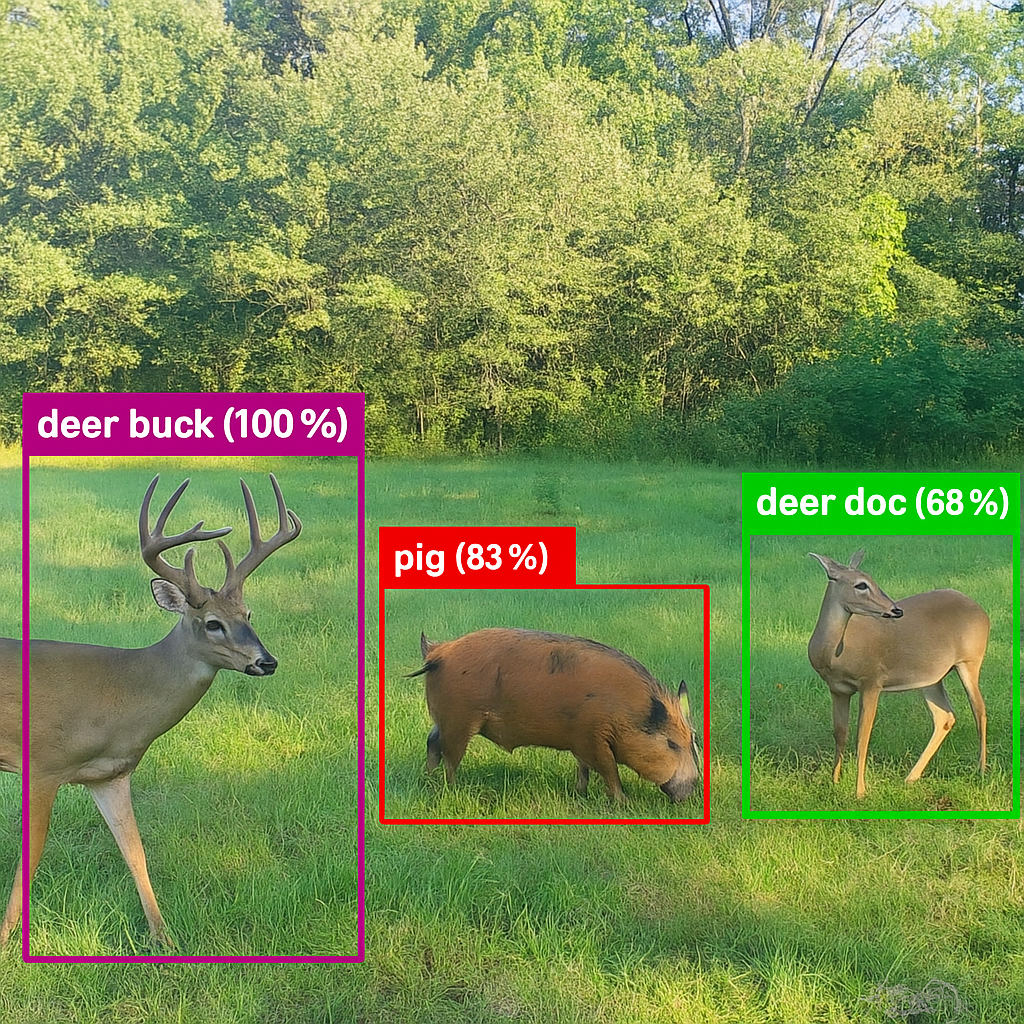 AI Animal Detection